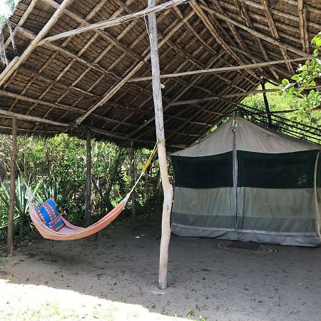 Peponi Beach Resort Pangani Extérieur photo