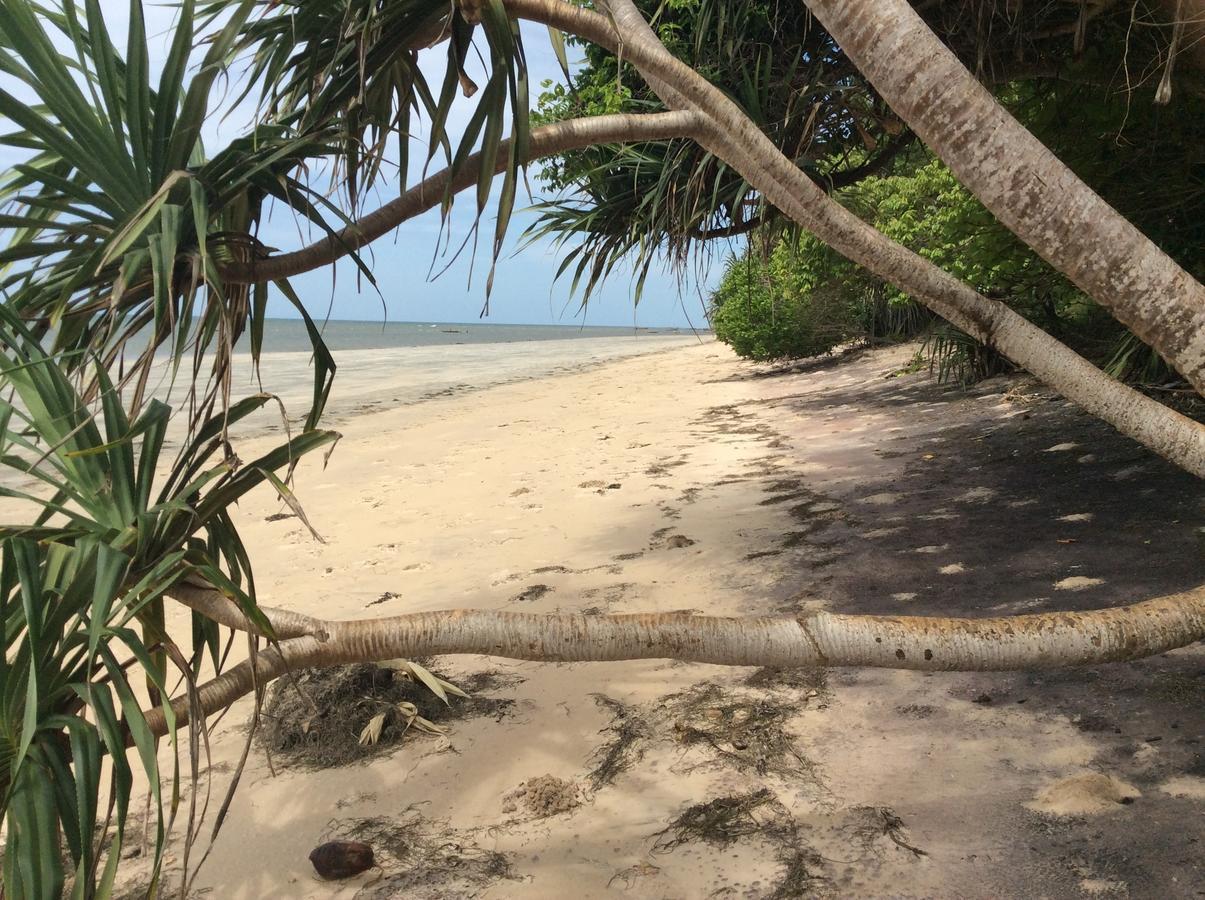 Peponi Beach Resort Pangani Extérieur photo