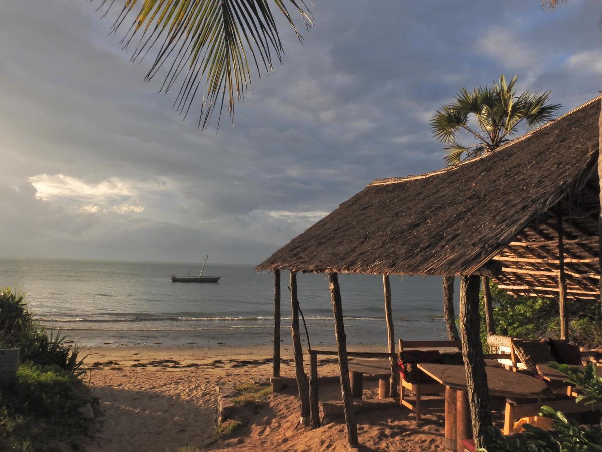 Peponi Beach Resort Pangani Extérieur photo