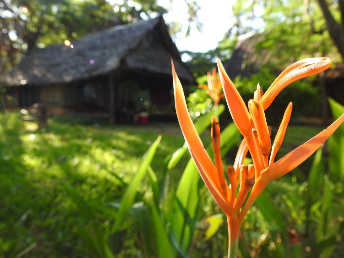 Peponi Beach Resort Pangani Extérieur photo