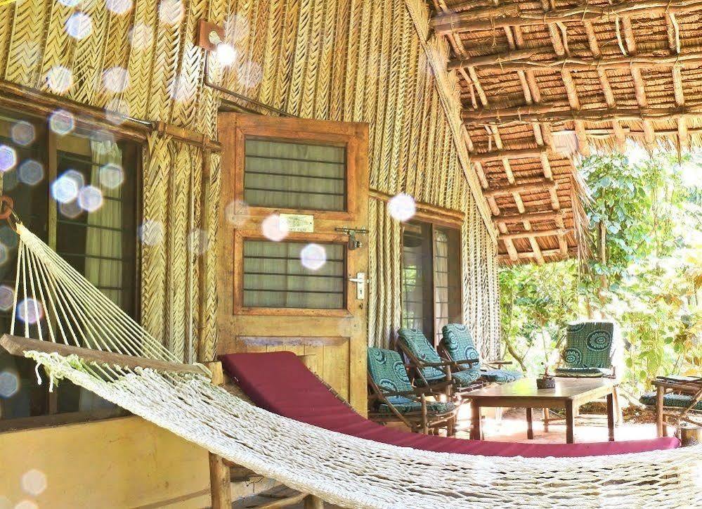 Peponi Beach Resort Pangani Extérieur photo