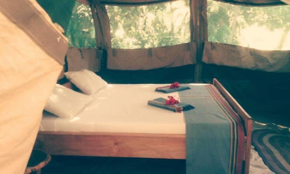 Peponi Beach Resort Pangani Extérieur photo