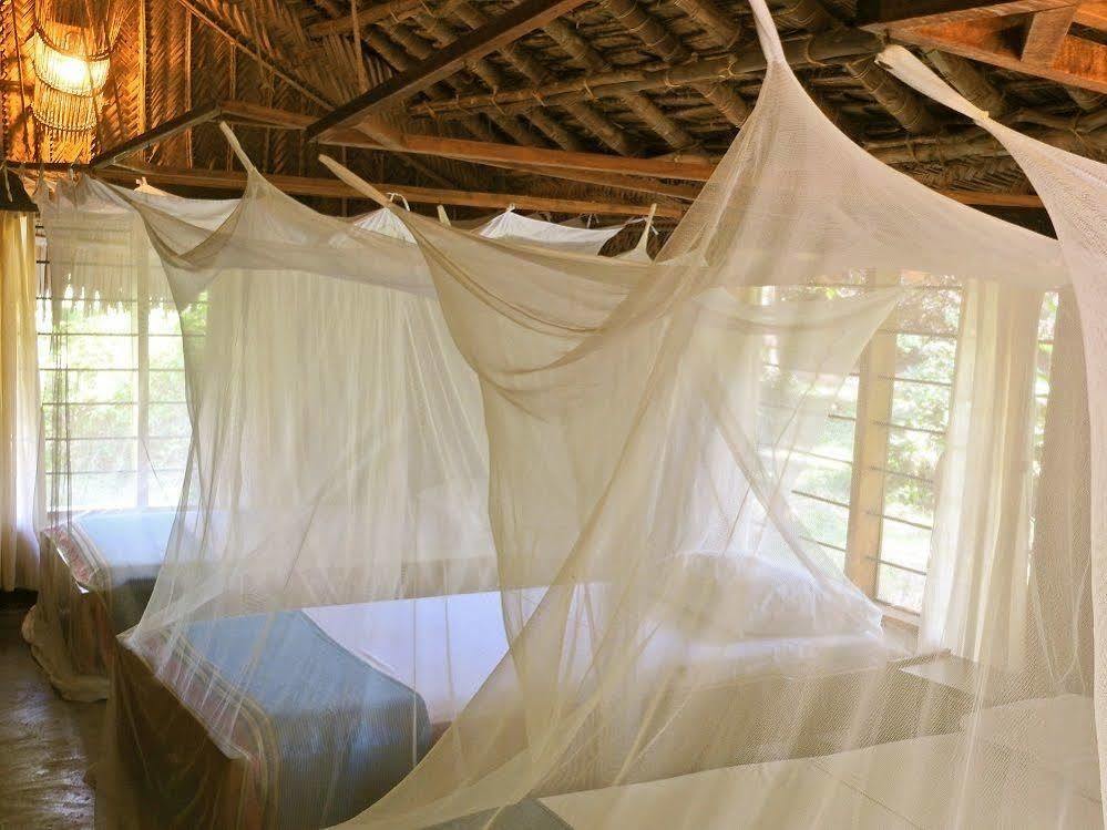 Peponi Beach Resort Pangani Extérieur photo