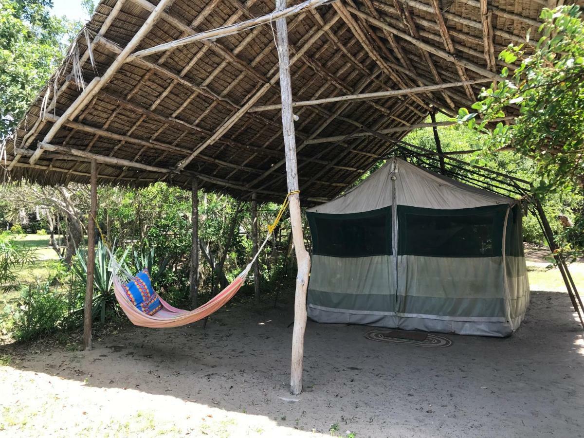 Peponi Beach Resort Pangani Extérieur photo